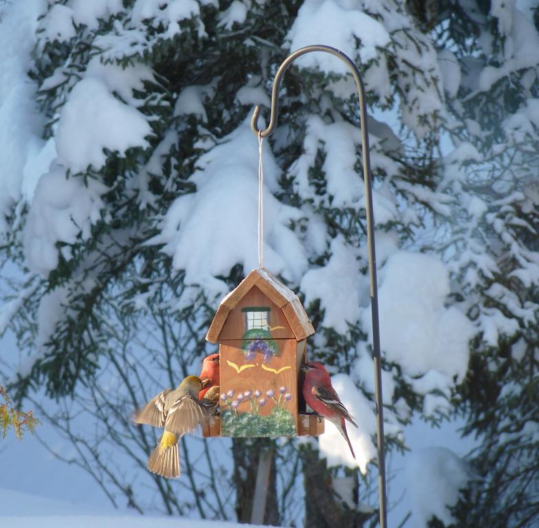 Gite De La Riviere Bed & Breakfast Chibougamau Exterior foto